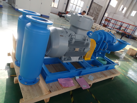 DN40 0,42-1,42 M3/min Rootsblower aus Edelstahl für Spezialgas
