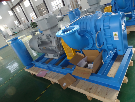 DN40 0,42-1,42 M3/min Rootsblower aus Edelstahl für Spezialgas