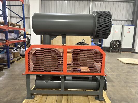 DN40 (1,5 Zoll) Dreiflügel-Drehkolbengebläse mit 0,37-1,11 m³/min Luftleistung und 2300 U/min max. Drehzahl