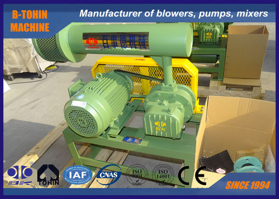 Vorsprungs-Gebläse des Druck-10KPA Tri des Positiv-700 U/min 1500rpm