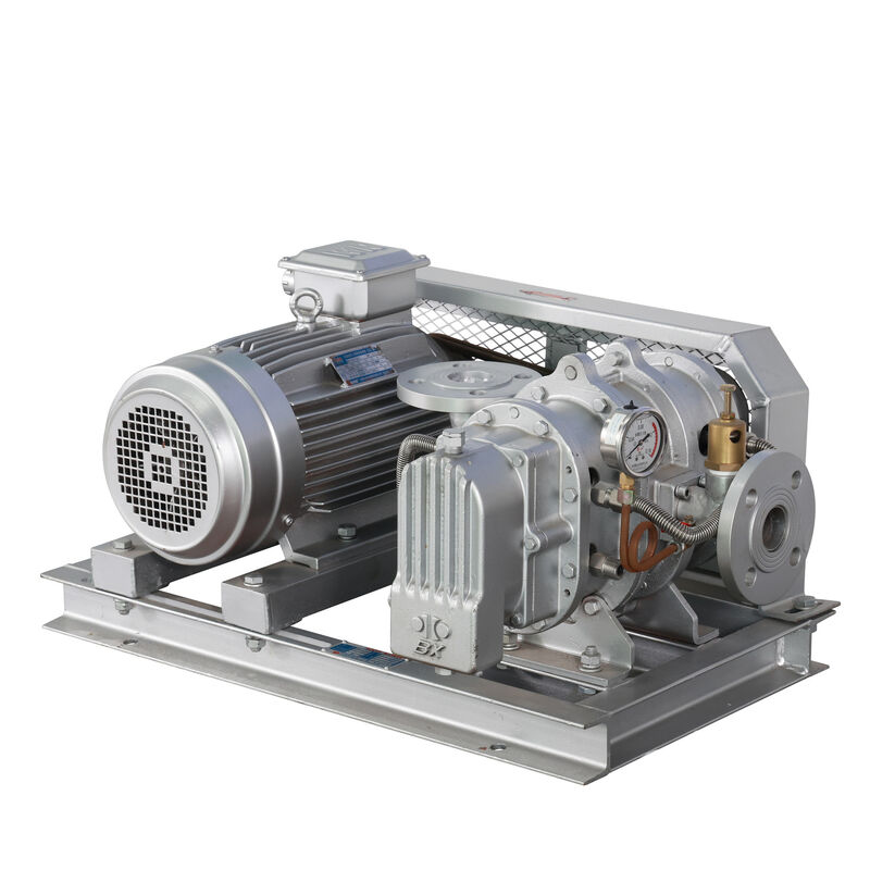 BX100  4'' 3.18-11.74 m³/min 0.1-0.7 kgf/cm² BX Serie Edelstahl Roots Gebläse