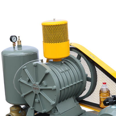B-Tohin HC-80S Geräuscharm 61dB ((A) Rotationsbläser mit 430 RPM Geschwindigkeit und 2,5-2,82 m3/min Luftstrom für die Wasserbehandlung