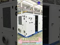 BLG Schraubwurzelbläser