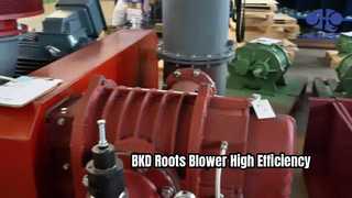 BKD Roots-Gebläse